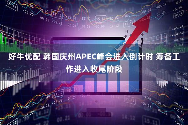 好牛优配 韩国庆州APEC峰会进入倒计时 筹备工作进入收尾阶段